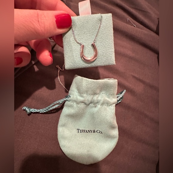 Tiffany & Co. Jewelry - Tiffany & Co horseshoe necklace.  Authentic.